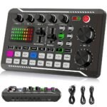 F009 Professional Live Sound Card